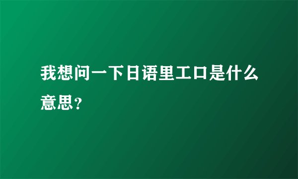 我想问一下日语里工口是什么意思？