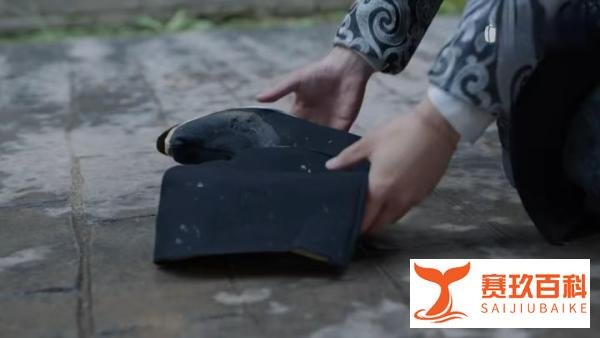 《庆余年2》三次出场的洪竹(洪公公)到底是谁的人?文末有彩蛋