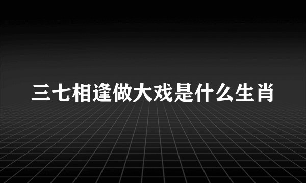 三七相逢做大戏是什么生肖