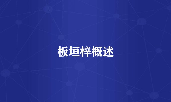 板垣梓概述