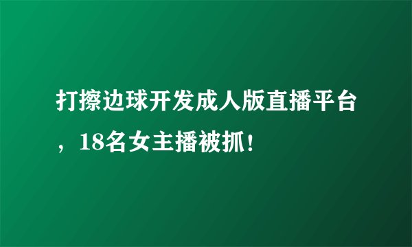 打擦边球开发成人版直播平台,18名女主播被抓!