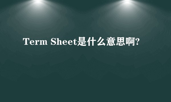 Term Sheet是什么意思啊?