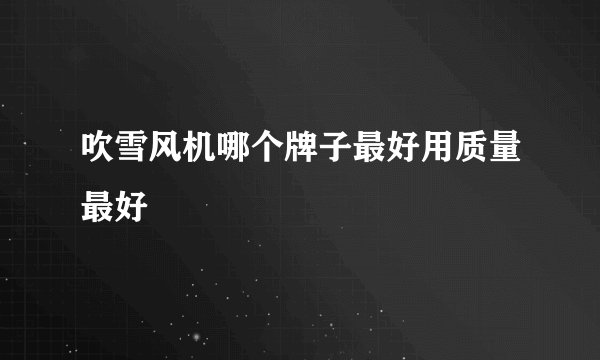 吹雪风机哪个牌子最好用质量最好