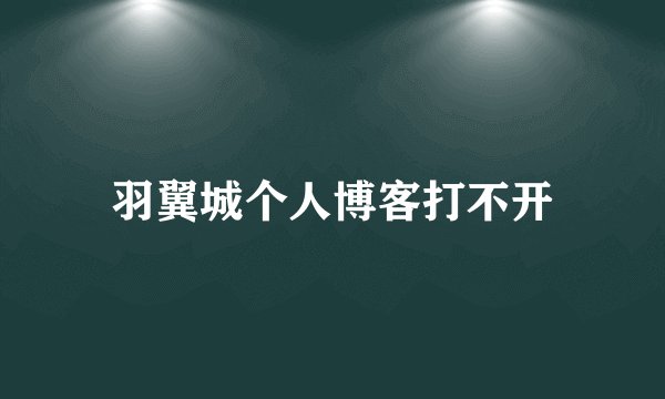 羽翼城个人博客打不开