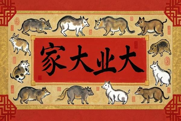 家大业大打一个正确生肖