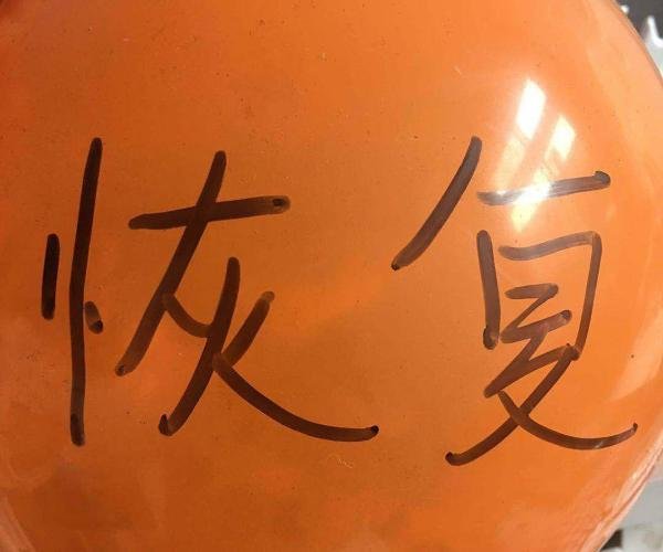 恢复是什么意思