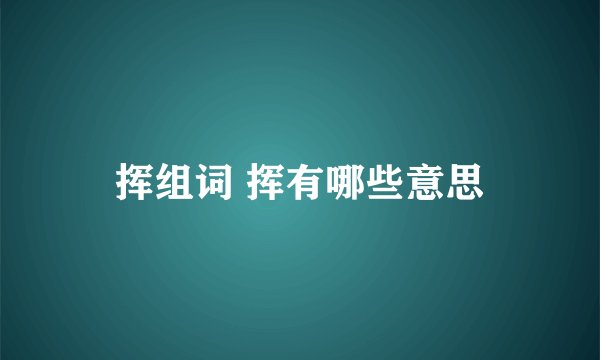 挥组词 挥有哪些意思