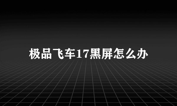 极品飞车17黑屏怎么办