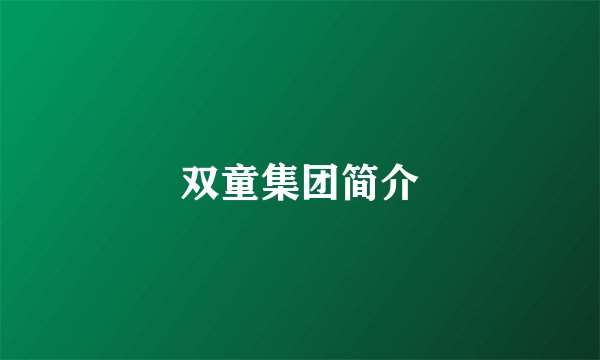 双童集团简介