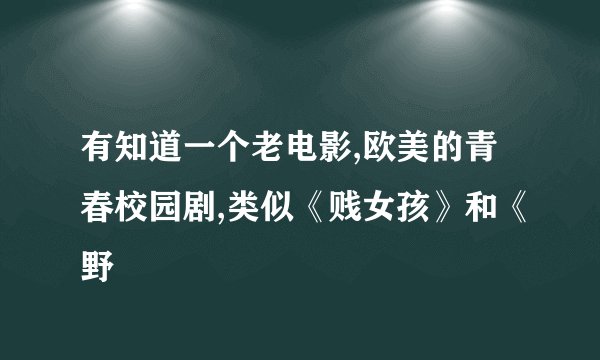 有知道一个老电影,欧美的青春校园剧,类似《贱女孩》和《野