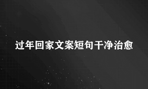过年回家文案短句干净治愈