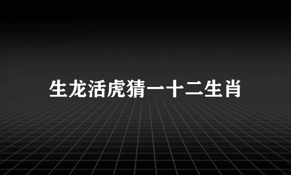 生龙活虎猜一十二生肖