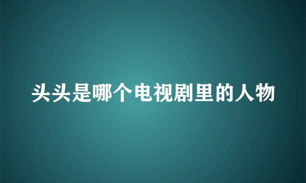 头头是哪个电视剧里的人物