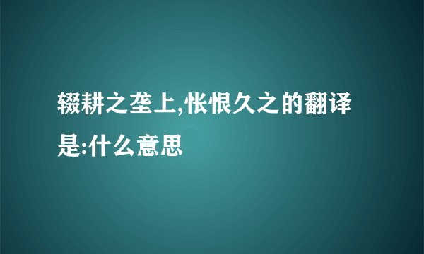 辍耕之垄上,怅恨久之的翻译是:什么意思