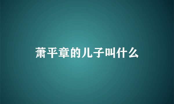 萧平章的儿子叫什么