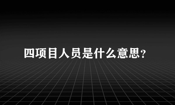 四项目人员是什么意思？