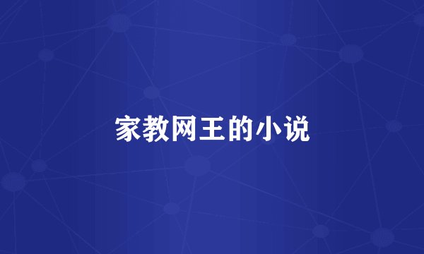 家教网王的小说