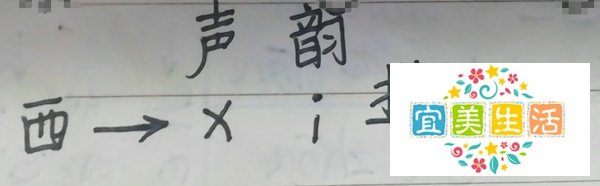 东西的拼音怎么拼写