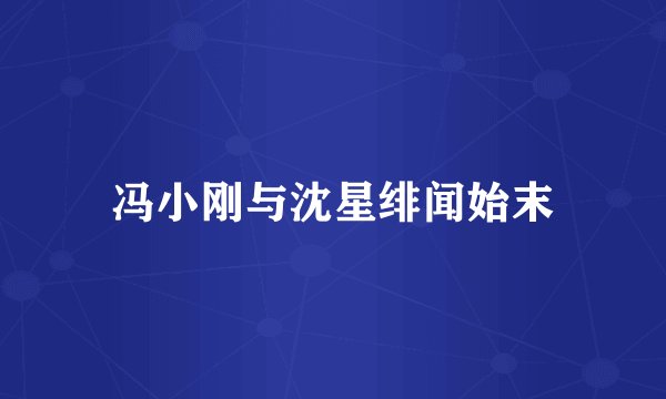 冯小刚与沈星绯闻始末