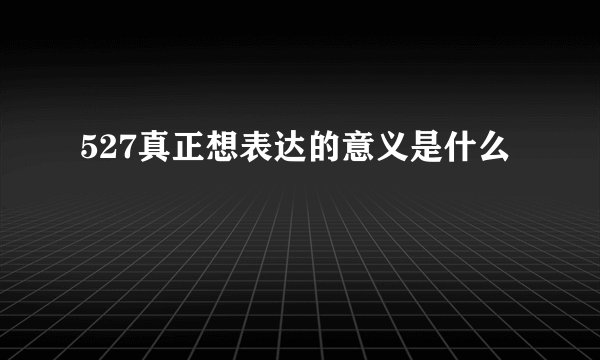 527真正想表达的意义是什么