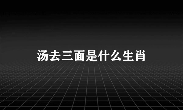 汤去三面是什么生肖