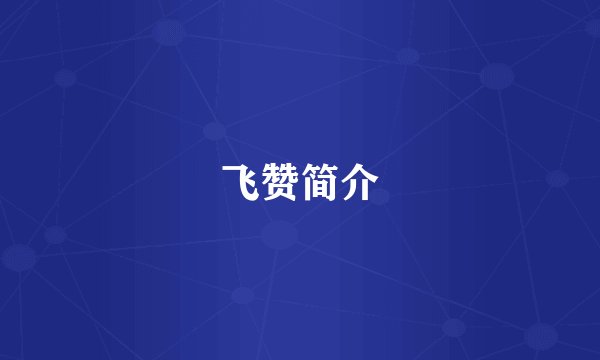 飞赞简介