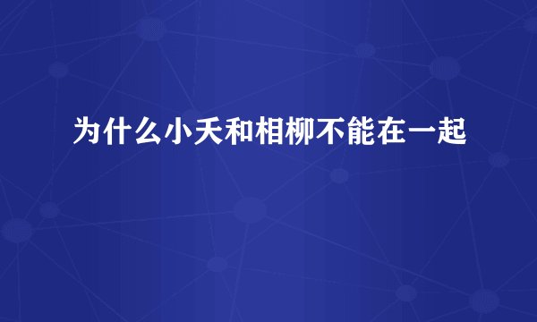 为什么小夭和相柳不能在一起