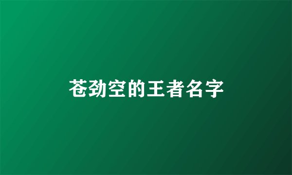 苍劲空的王者名字