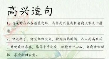 高高兴兴造句