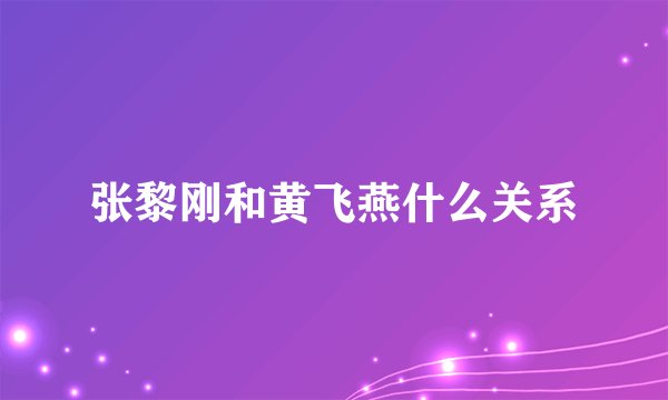 张黎刚和黄飞燕什么关系