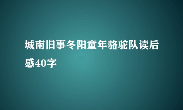 城南旧事冬阳童年骆驼队读后感40字