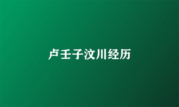 卢壬子汶川经历