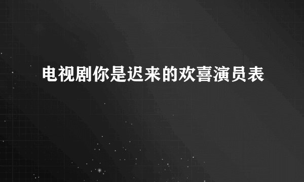 电视剧你是迟来的欢喜演员表