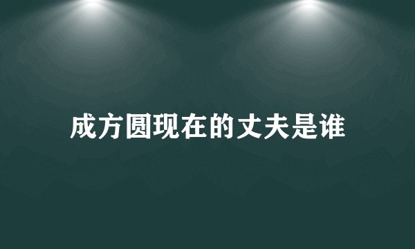成方圆现在的丈夫是谁