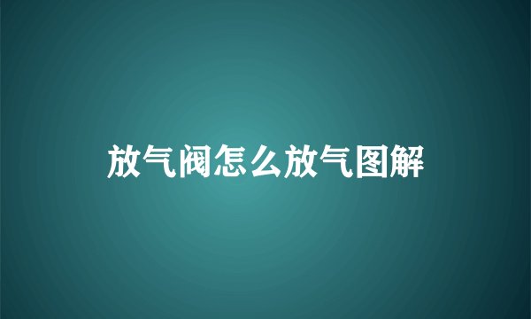 放气阀怎么放气图解