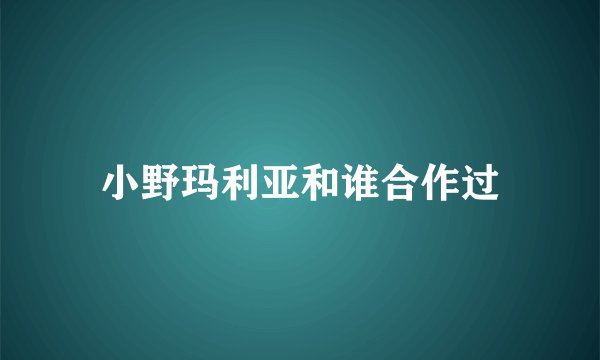 小野玛利亚和谁合作过