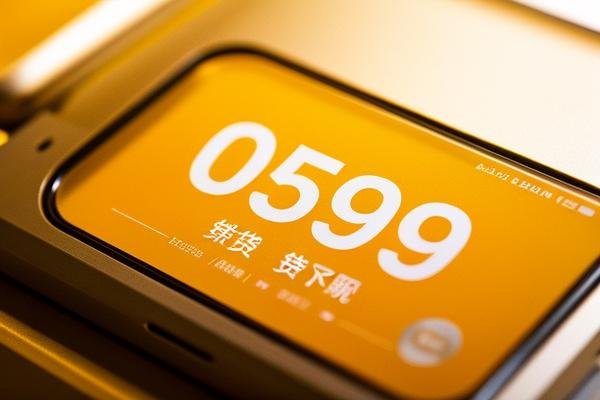 0599是哪个网贷催收