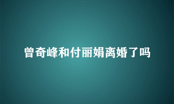 曾奇峰和付丽娟离婚了吗