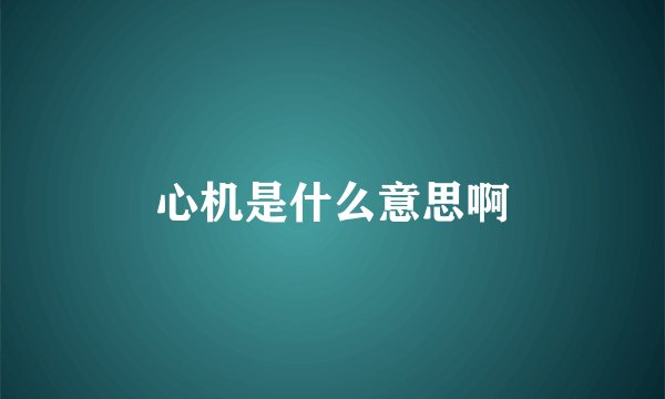 心机是什么意思啊