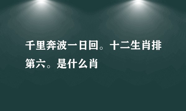 千里奔波一日回。十二生肖排第六。是什么肖