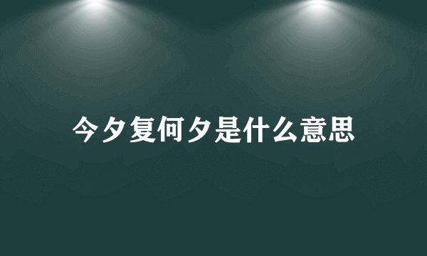 今夕复何夕是什么意思