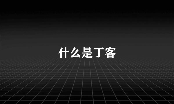 什么是丁客