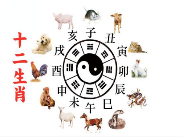 十步芳草是什么生肖？