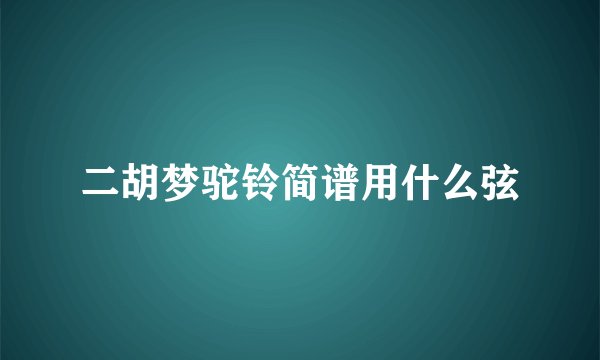 二胡梦驼铃简谱用什么弦
