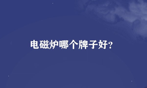 电磁炉哪个牌子好?