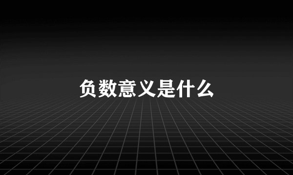 负数意义是什么