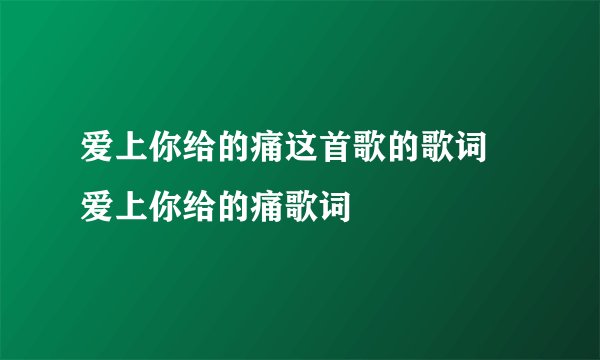 爱上你给的痛这首歌的歌词 爱上你给的痛歌词