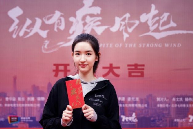 纵有疾风起一共多少集