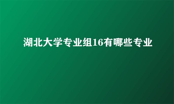 湖北大学专业组16有哪些专业