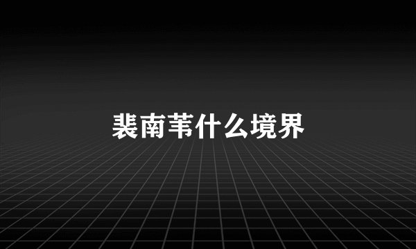 裴南苇什么境界